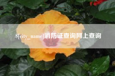 琼中消防证查询网上查询