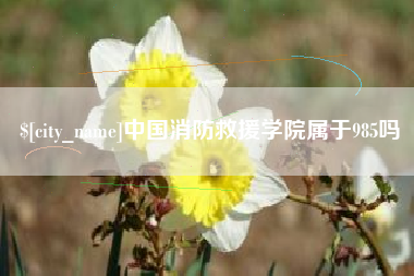 琼中中国消防救援学院属于985吗