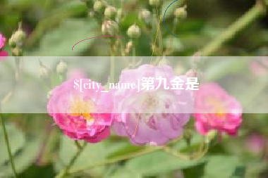 琼中第九金是
