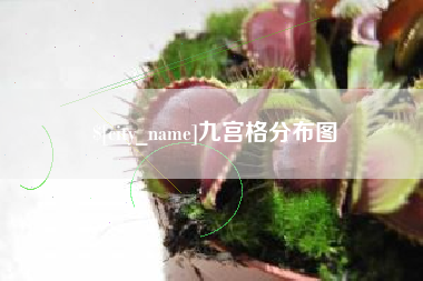 琼中九宫格分布图