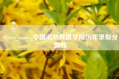 琼中中国消防救援学院历年录取分数线