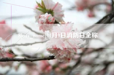 琼中11月9日消防日全称
