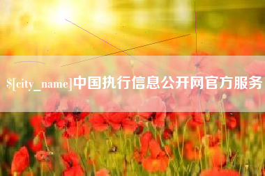 琼中中国执行信息公开网官方服务