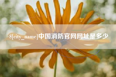 琼中中国消防官网网址是多少