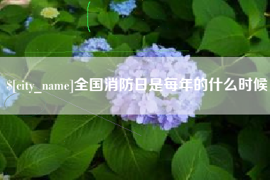 琼中全国消防日是每年的什么时候