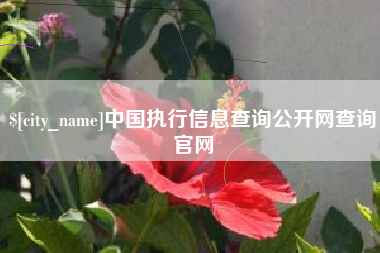 琼中中国执行信息查询公开网查询官网