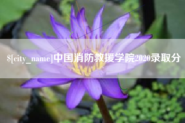 琼中中国消防救援学院2020录取分