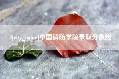 琼中中国消防学院录取分数线