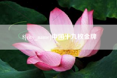琼中中国十九枚金牌