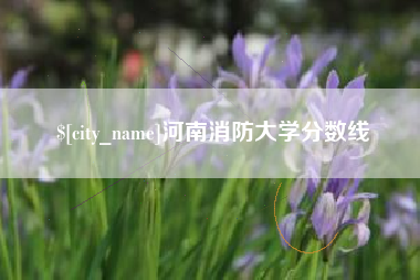 琼中河南消防大学分数线