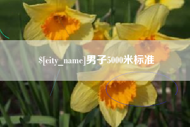琼中男子5000米标准