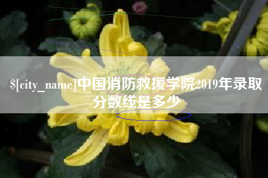 琼中中国消防救援学院2019年录取分数线是多少