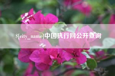 琼中中国执行网公开查询