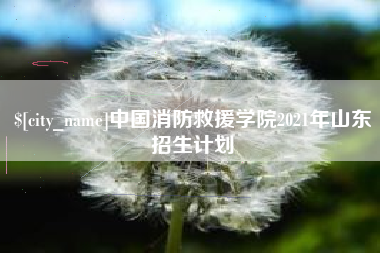 琼中中国消防救援学院2021年山东招生计划