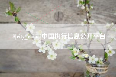 琼中中国执行信息公开平台