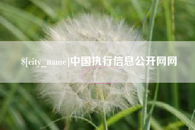 琼中中国执行信息公开网网