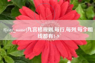 琼中九宫格规则,每行,每列,每个粗线都有1-9