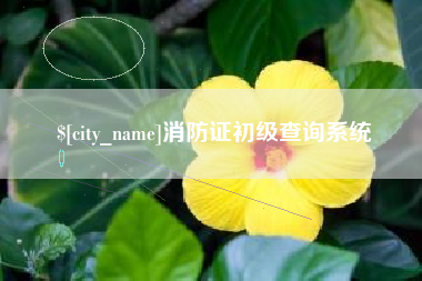 琼中消防证初级查询系统