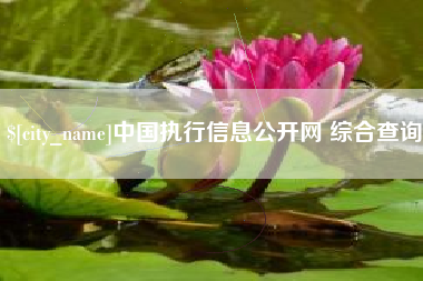 琼中中国执行信息公开网 综合查询