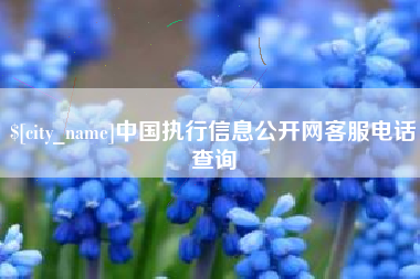 琼中中国执行信息公开网客服电话查询