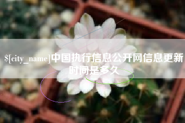 琼中中国执行信息公开网信息更新时间是多久