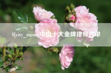 琼中中国十大金牌律师名单