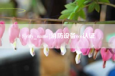 琼中消防设备ccc认证