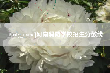 琼中河南消防学校招生分数线