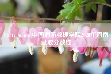 琼中中国消防救援学院2020年河南录取分数线