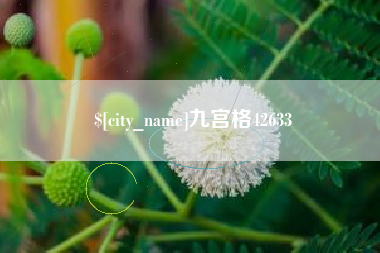 琼中九宫格42633