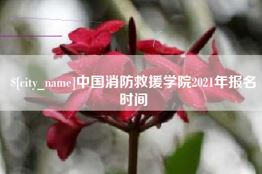 琼中中国消防救援学院2021年报名时间
