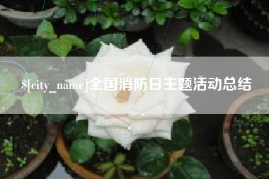 琼中全国消防日主题活动总结