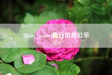 琼中执行信息公示