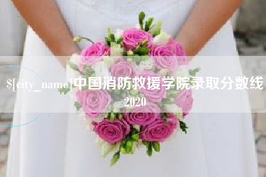 琼中中国消防救援学院录取分数线2020