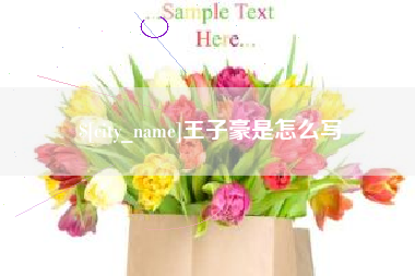 琼中王子豪是怎么写