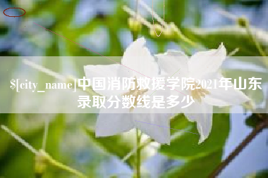 琼中中国消防救援学院2021年山东录取分数线是多少