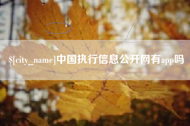 琼中中国执行信息公开网有app吗