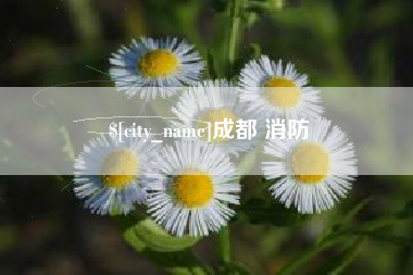 琼中成都 消防