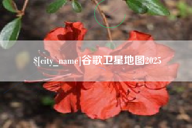 琼中谷歌卫星地图2025