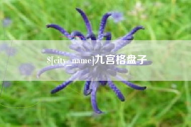 琼中九宫格盘子