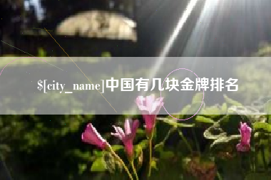 琼中中国有几块金牌排名