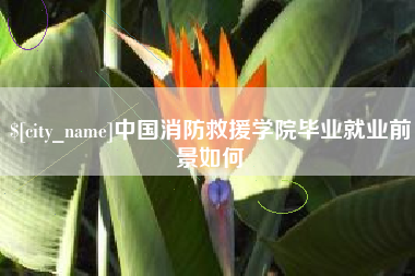 琼中中国消防救援学院毕业就业前景如何