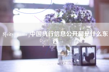 琼中中国执行信息公开网是什么东西