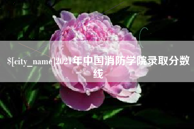 琼中2021年中国消防学院录取分数线