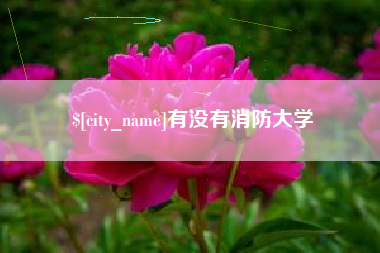琼中有没有消防大学