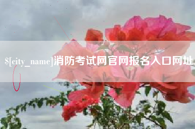 琼中消防考试网官网报名入口网址