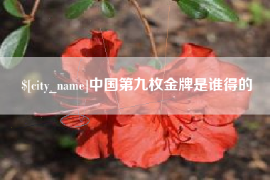 琼中中国第九枚金牌是谁得的