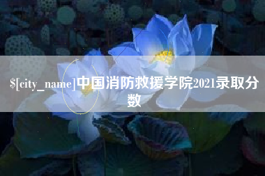 琼中中国消防救援学院2021录取分数