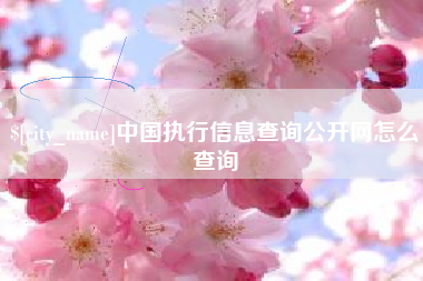 琼中中国执行信息查询公开网怎么查询