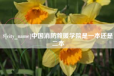 琼中中国消防救援学院是一本还是二本